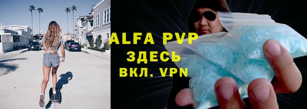 индика Бугульма