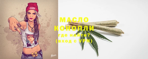 дмт Бородино