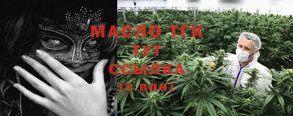 индика Бугульма