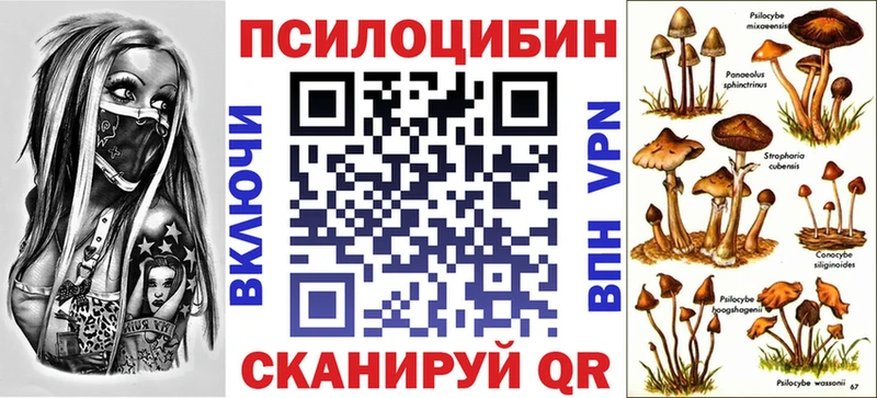 Галлюциногенные грибы прущие грибы где купить наркотик Гатчина