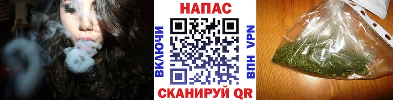 Марихуана Bruce Banner  Гатчина 